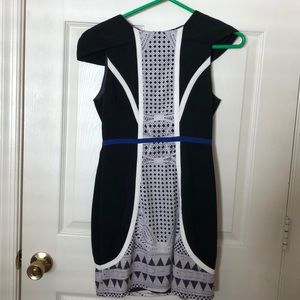 Mustard Seed Cocktail Dress